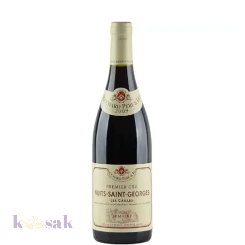 2011 Nuits-Saint-Georges 1er cru 