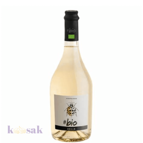 Bio Organic Grillo – Organic Wine