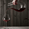 U Shape Decanter