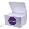 Ice Box 45 Liters